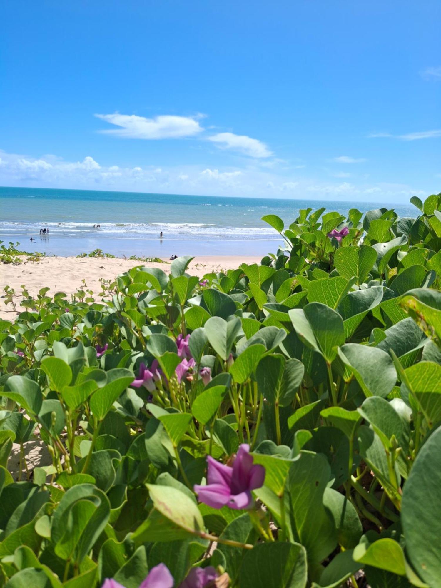 Manga Rosa Hospedagem Canoa Quebrada Exterior photo